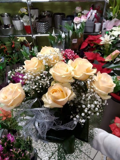 Zakład Pogrzebowy Kwiaciarnia Azalia - Kwiaciarnia z PASJĄ Grażyna Łagowska, Kwiaciarnia w Radzyń Chełmiński