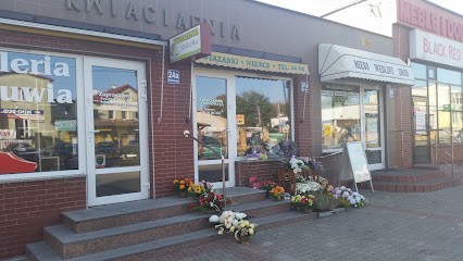 Stokrotka. Kwiaciarnia, Dowóz. Kowalczyk I., Kwiaciarnia w Pasłęk