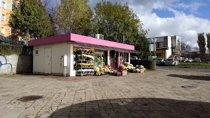 Kwiatex. Kwiaciarnia, Kwiaciarnia w Olsztyn