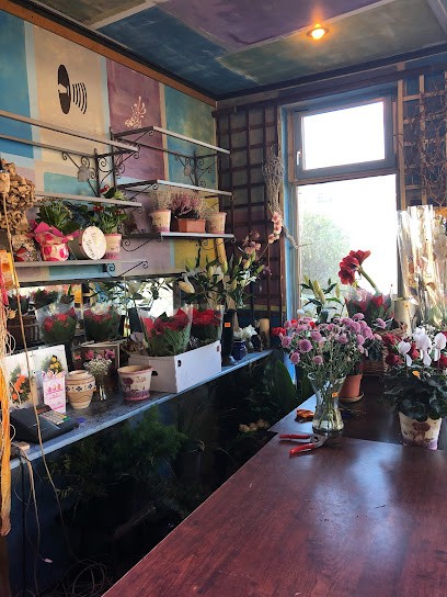 Talea, Kwiaciarnia w Piechowice