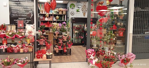 Studio Kwiatowe Sweet Flowers, Kwiaciarnia w Rzeszów