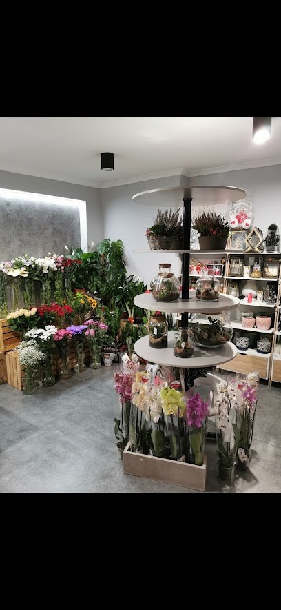 Kwiatowy Kredens, Kwiaciarnia w Busko-Zdrój