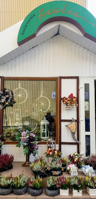 Azalia, Kwiaciarnia w Wałbrzych