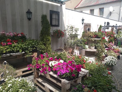 Wrembel Janusz. Kwiaciarnia, Kwiaciarnia w Lwówek