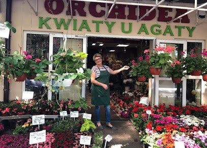 Kwiaciarnia Orchidea, Kwiaciarnia w Żywiec