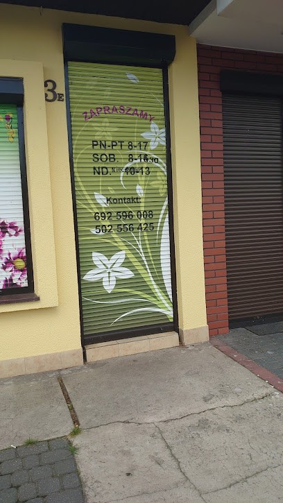 Kwiaciarnia KWIATOWY ZAKĄTEK, Kwiaciarnia w Włocławek