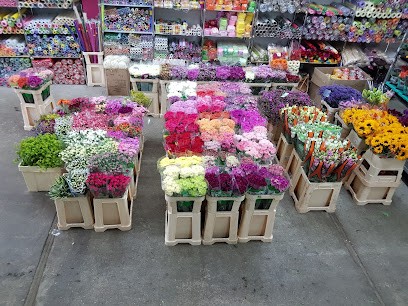 Ismena-Hurtownia kwiatów i roślin Marczak Konrad, Kwiaciarnia w Radom