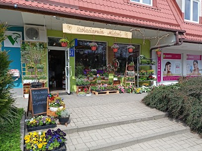 Kwiaciarnia „Midori”, Kwiaciarnia w Olsztyn