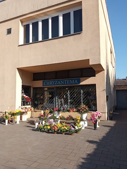 Kwiaciarnia Chryzantema, Kwiaciarnia w Krąków