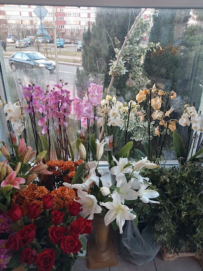 KWIACIARNIA FIESTA Magdalena Kałużna, Kwiaciarnia w Świnoujście