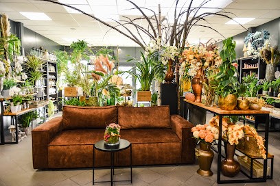 Flora, Kwiaciarnia w Trzcianka