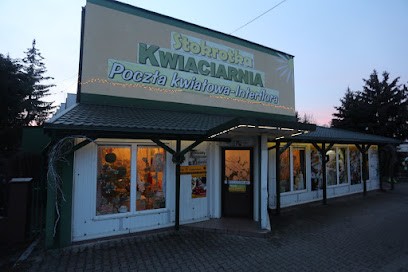 Stokrotka. Kwiaciarnia. Kabat L. Bełchatów, Kwiaciarnia w Bełchatów