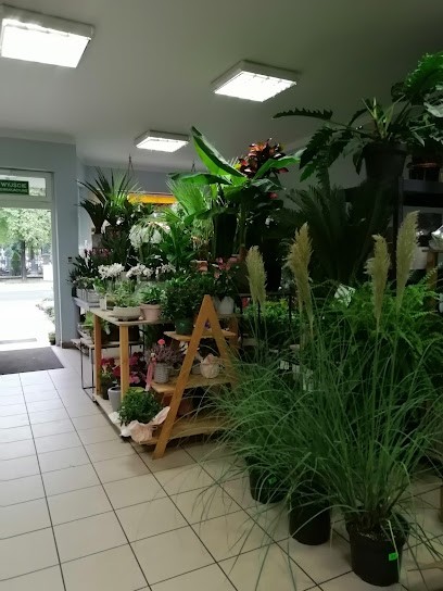 Kwiaciarnia Majowa Maria Tomiak- Chudy, Kwiaciarnia w Wolsztyn