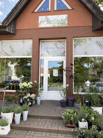 Kwiaciarnia M & R, Balony Z Helem, Dowóz Do Klienta, Kwiaciarnia w Tarnowo Podgórne