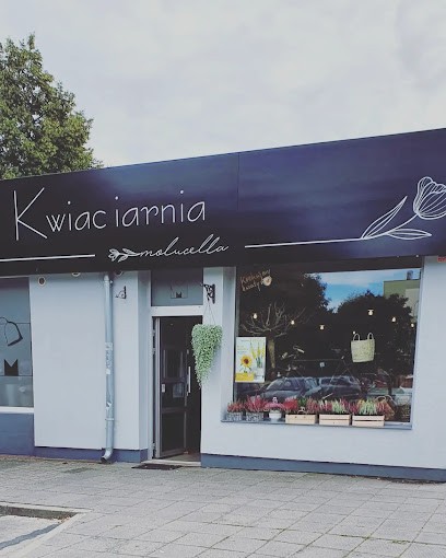 Molucella. Kwiaciarnia.Siekierska M, Kwiaciarnia w Śrem