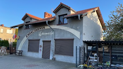 Kwiaciarnia Nemezja Beata Berkowicz, Kwiaciarnia w Głogów