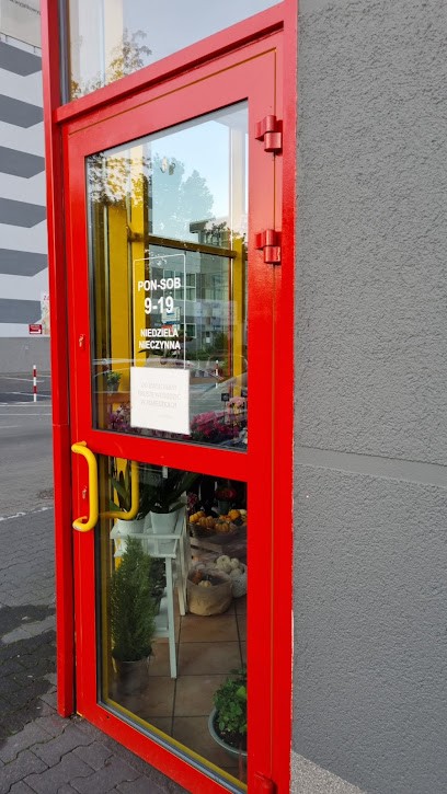 Waszyngton. Kwiaciarnia. Woś-Szczepańska A., Kwiaciarnia w Poznań