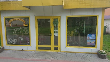 Kwiatkowska Bogumiła. Galeria Kwiatów, Kwiaciarnia w Gniewkowo