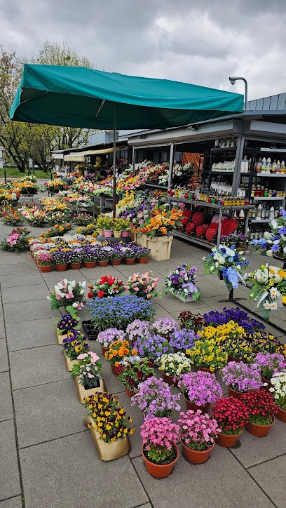 Kalla, Kwiaciarnia w Warszawa