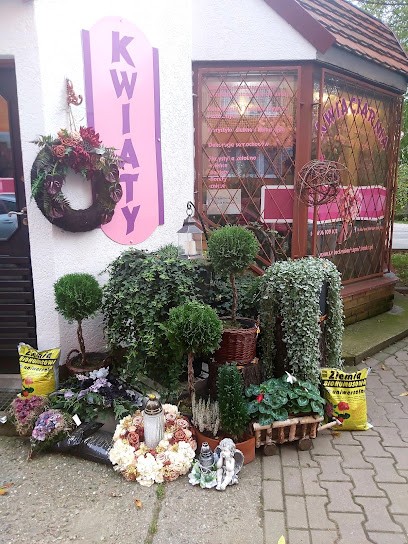 Kwiaciarnia Niespodzianka - Poczta Kwiatowa, Kwiaciarnia w Wrocław