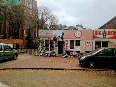 Kwiaciarnia Magnolia Siedlce, Kwiaciarnia w Siedlce