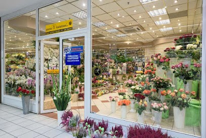 Kwiaciarnia H. Skrzydlewska, Kwiaciarnia w Łódź