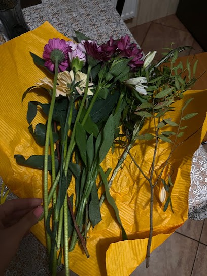 Morning Dew, Florist, Flower Mail, Kwiaciarnia w Przemyśl