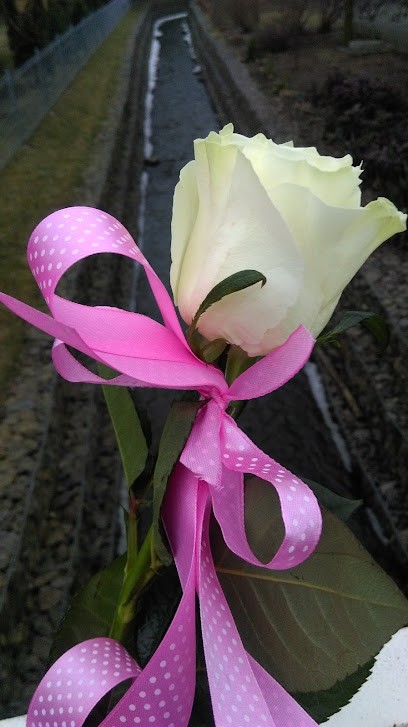 Kwiaciarnia ''Złota Róża'', Kwiaciarnia w Nowe Miasto Lubawskie