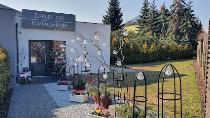 Kwiaciarnia Zaplecione, Kwiaciarnia w Wrocław