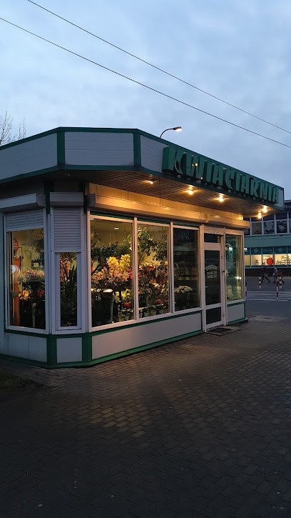 Kwiaciarnia Natura i Fantazja Warszawa - Wawer, Kwiaciarnia w Warszawa