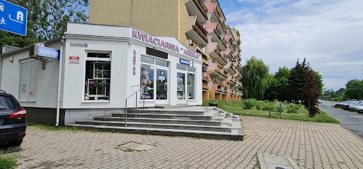 Kwiaciarnia Areka, Kwiaciarnia w Jelenia Góra