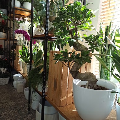 Pracownia IUNGO, Kwiaciarnia w Kwidzyn