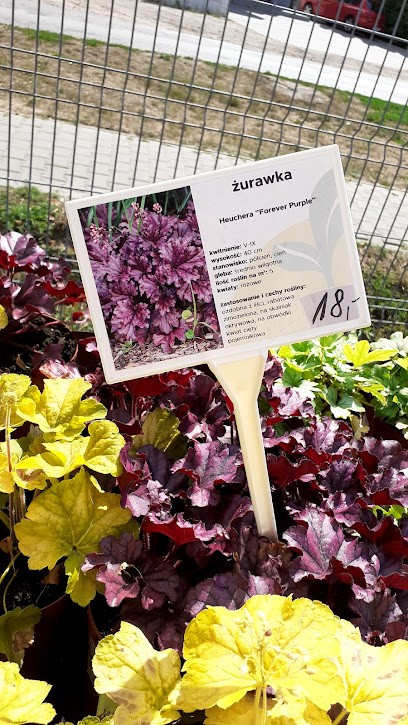 Kwiaciarnia Bratek, Kwiaciarnia w Rokietnica