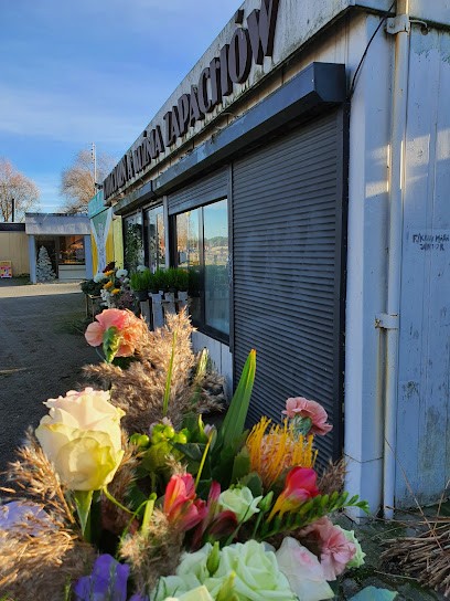 Florist Scents Forge, Kwiaciarnia w Zielona Góra