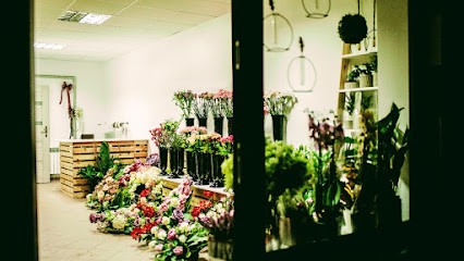 Studnia Kwiatów, Kwiaciarnia w Bełchatów