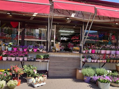 KWIACIARNIA ANNA, Kwiaciarnia w Poznań