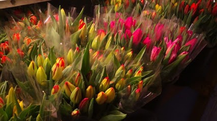 Kwiaty Cięte - Barbara Ratajczak, Kwiaciarnia w Błociszewo