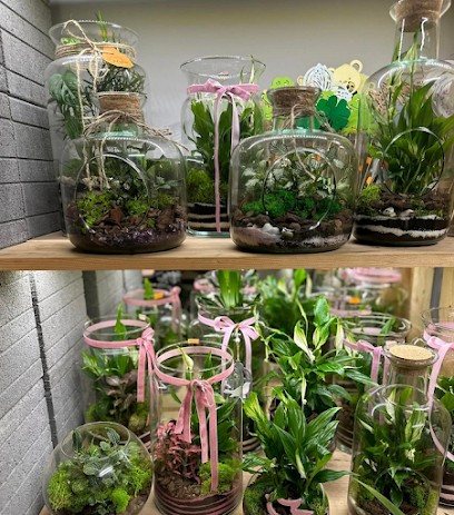 Kwiaciarnia MAJKA, Kwiaciarnia w Żychlin