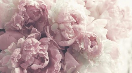 Kwiaciarnia Niwińscy w Lipce, Kwiaciarnia w Lipka