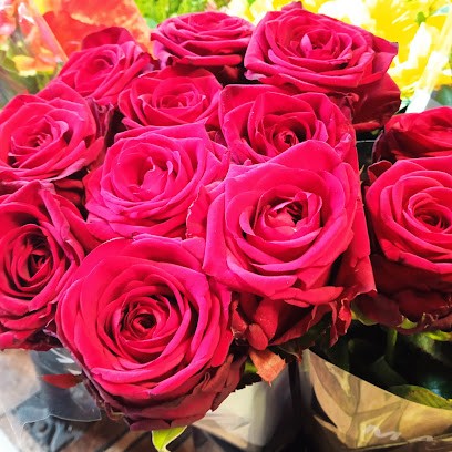 Wyszogrodzka Joanna. KWIATY⁰, Kwiaciarnia w Piekary Śląskie