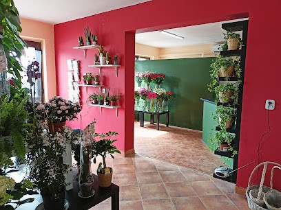 Kwiaciarnia Udekorujemy Wasz Dzień, Kwiaciarnia w Ostrów Lubelski