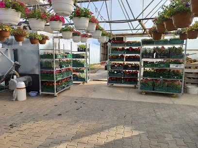 Gospodarstwo Ogrodnicze Gardoccy, Kwiaciarnia w Niewodowo