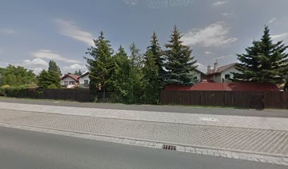 Magnolia, Kwiaciarnia w Wałbrzych