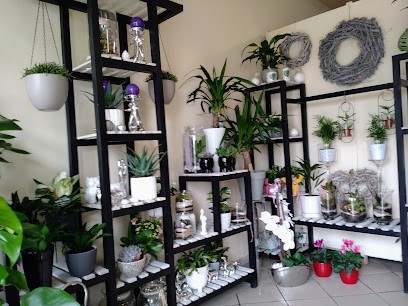 Lawendowy Zakątek, Kwiaciarnia w Połomia