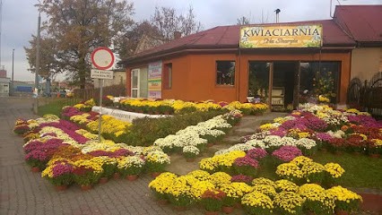 Kwiaciarnia Na Skarpie, Kwiaciarnia w Morąg