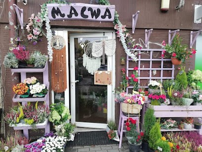 Agnieszka Turyło Malwa, Kwiaciarnia w Gdynia