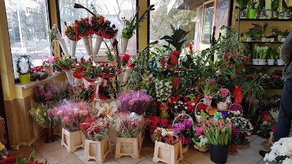 Hortensja. Kwiaciarnia. Ellerik J., Kwiaciarnia w Tuchola