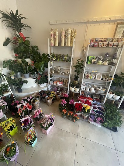 Kwiaciarnia CASABLANCA, Kwiaciarnia w Gdynia