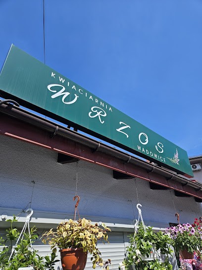 Kwiaciarnia Wrzos Wadowice, Kwiaciarnia w Wadowice