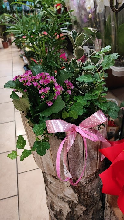 Tina. Salon Kwiatowy., Kwiaciarnia w Olsztyn